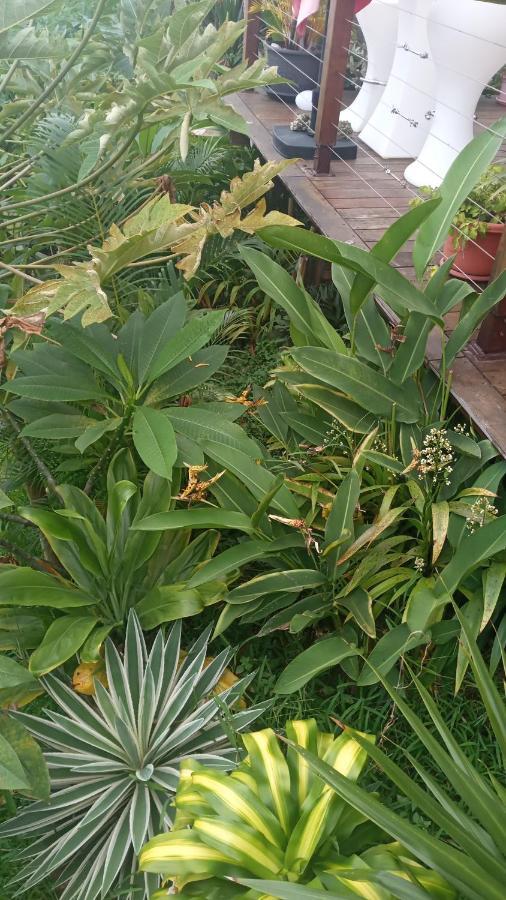 Manava Tahara'A Home Stay Mahina Exterior photo